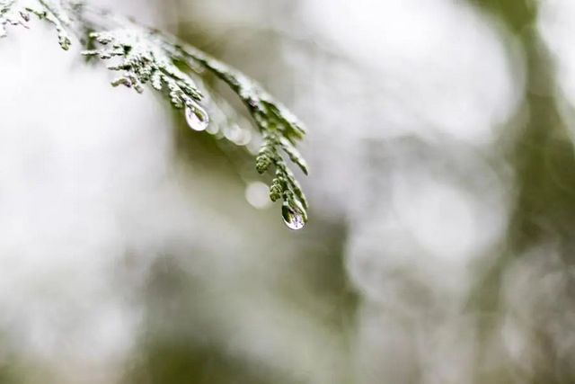 空氣濕度大帶來的危害有哪些，你知道嗎？