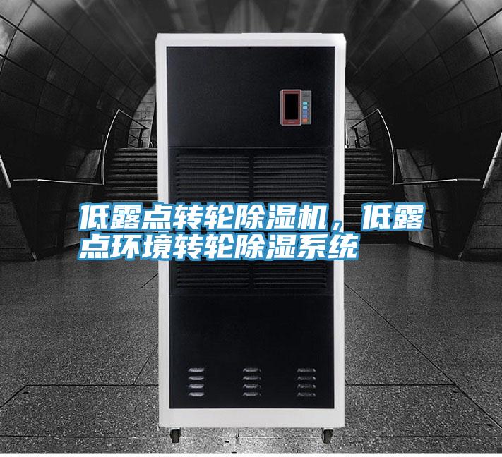 低露點(diǎn)轉(zhuǎn)輪除濕機(jī)，低露點(diǎn)環(huán)境轉(zhuǎn)輪除濕系統(tǒng)