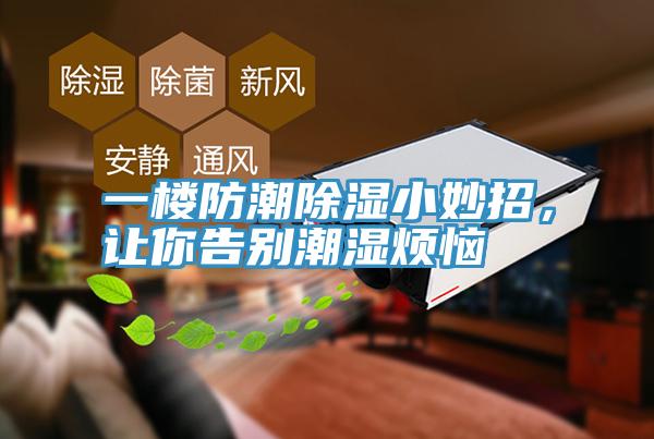 一樓防潮除濕小妙招，讓你告別潮濕煩惱