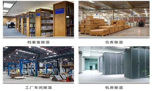 為什么竹筍烘干房需要除濕機(jī)？