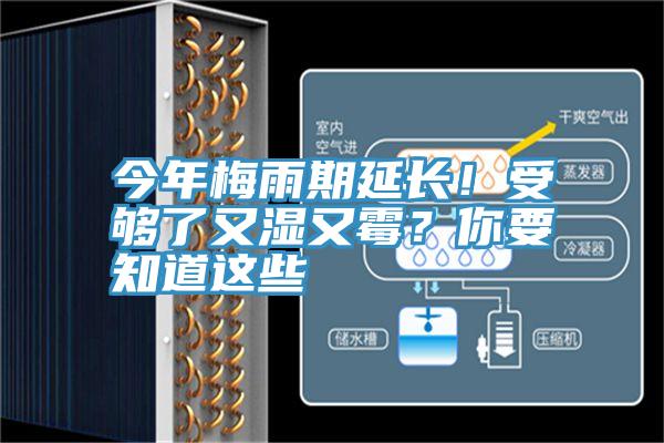 今年梅雨期延長！受夠了又濕又霉？你要知道這些