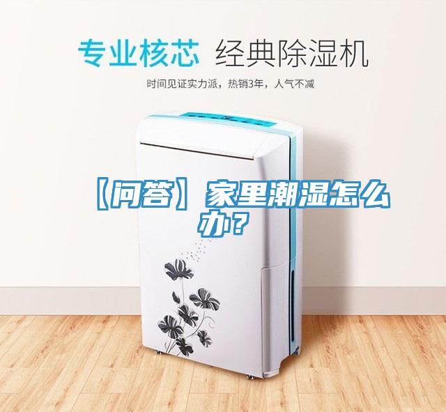 【問(wèn)答】家里潮濕怎么辦？