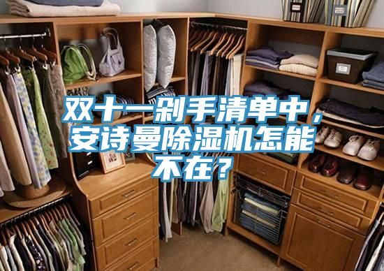 雙十一剁手清單中，安詩曼除濕機怎能不在？