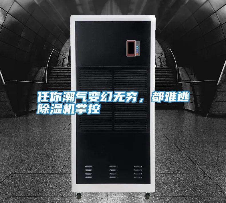 任你潮氣變幻無(wú)窮，都難逃除濕機(jī)掌控