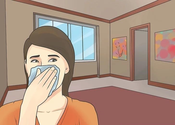 我們什么時候需要使用家用除濕機？