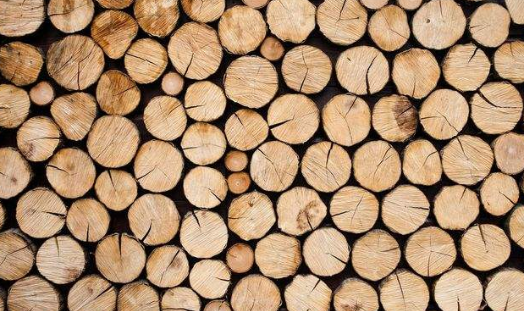 木材烘干除濕機(jī)哪個(gè)牌子好，怎么選擇