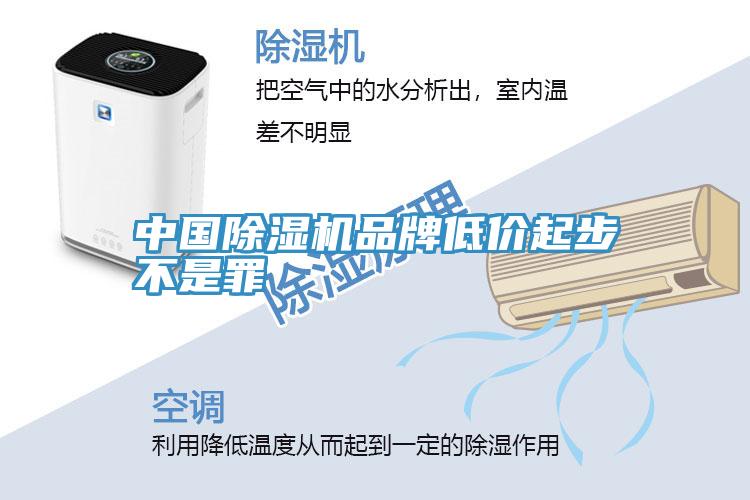中國除濕機(jī)品牌低價起步不是罪