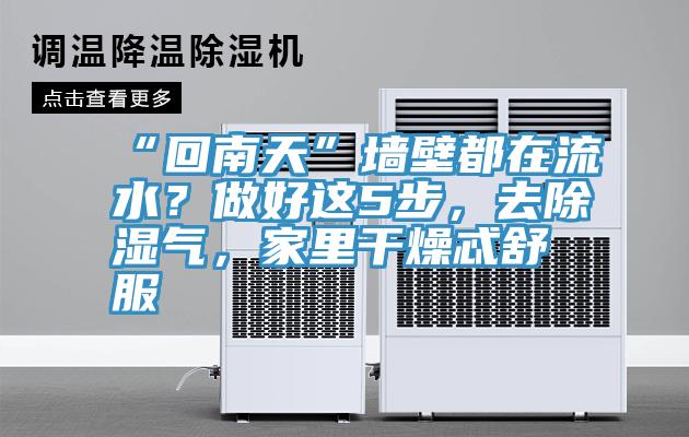 “回南天”墻壁都在流水？做好這5步，去除濕氣，家里干燥忒舒服