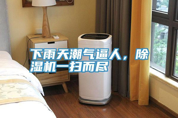 下雨天潮氣逼人，除濕機(jī)一掃而盡