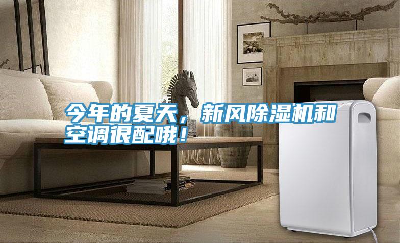 今年的夏天，新風(fēng)除濕機(jī)和空調(diào)很配哦！