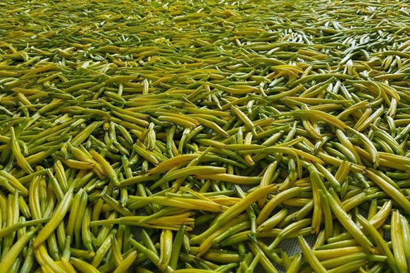 無(wú)硫金針菜烘干如何保持品相？不發(fā)黑？_除濕機(jī)廠家