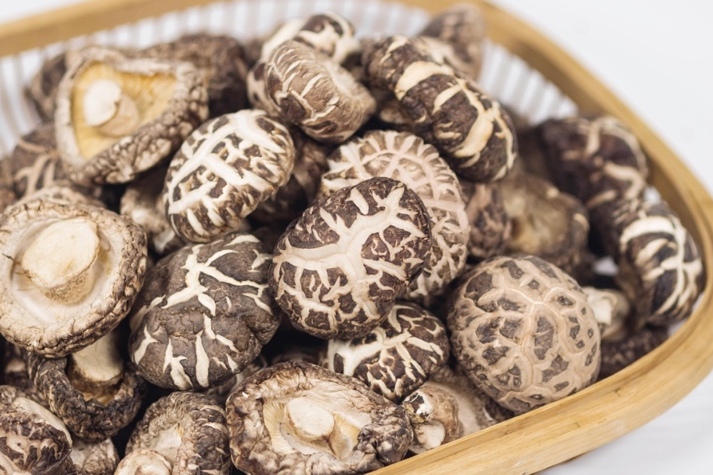 干貨倉庫怎么利用除濕機(jī)保持干爽？