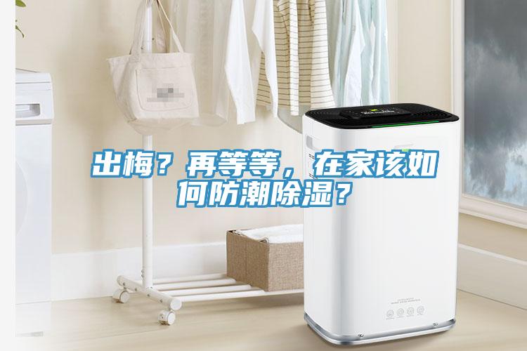 出梅？再等等，在家該如何防潮除濕？