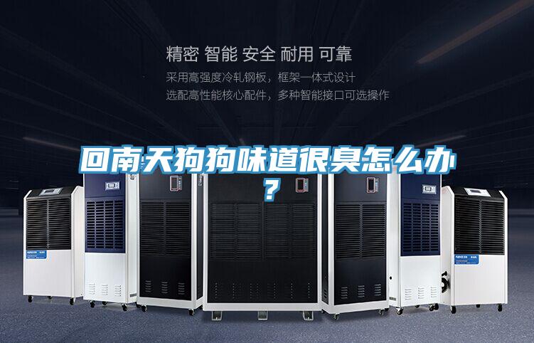 回南天狗狗味道很臭怎么辦？