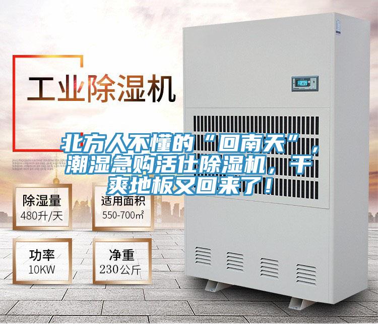 北方人不懂的“回南天”，潮濕急購活仕除濕機(jī)，干爽地板又回來了！