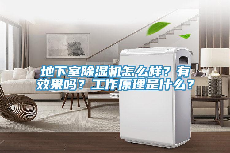 地下室除濕機(jī)怎么樣？有效果嗎？工作原理是什么？