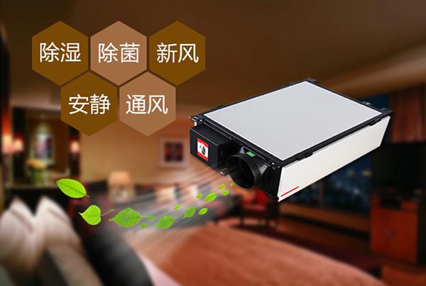 廈門除濕機怎么選？