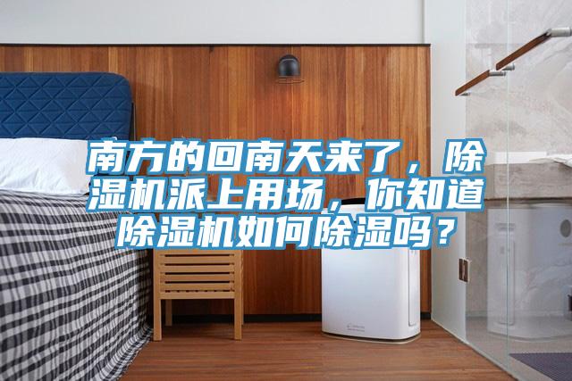 南方的回南天來了，除濕機派上用場，你知道除濕機如何除濕嗎？