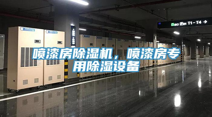 噴漆房除濕機，噴漆房專用除濕設(shè)備