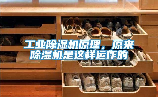 工業(yè)除濕機(jī)原理，原來除濕機(jī)是這樣運(yùn)作的