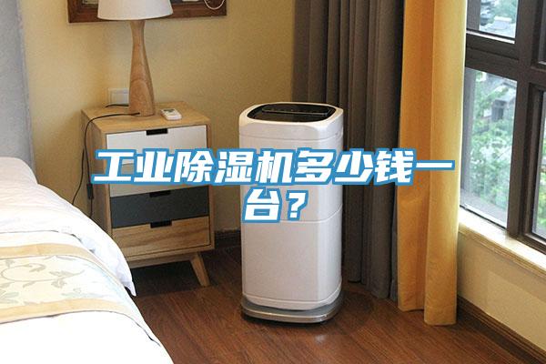 工業(yè)除濕機(jī)多少錢一臺？