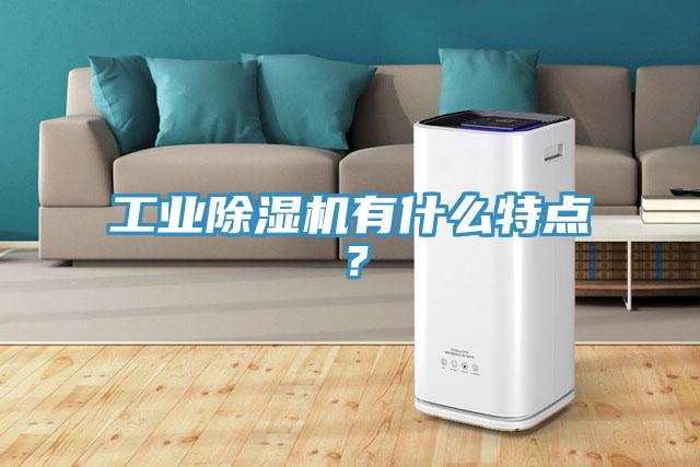 工業(yè)除濕機有什么特點？