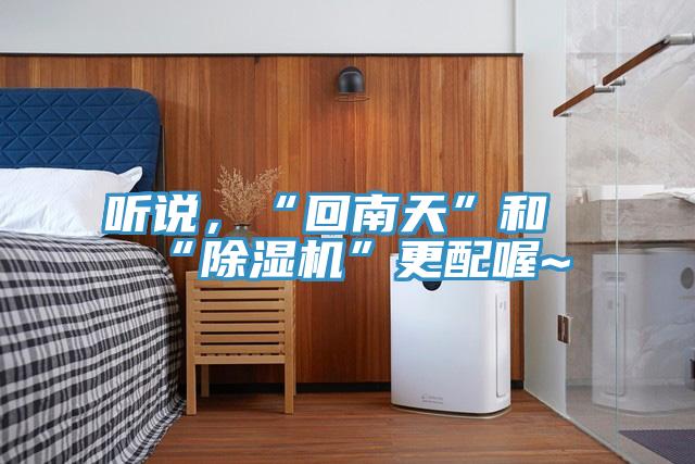 聽說，“回南天”和“除濕機”更配喔~