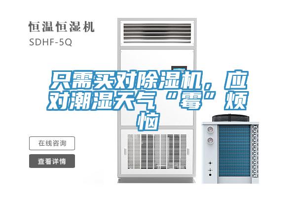 只需買(mǎi)對(duì)除濕機(jī)，應(yīng)對(duì)潮濕天氣“霉”煩惱