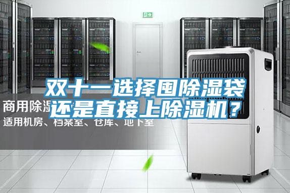雙十一選擇囤除濕袋還是直接上除濕機？