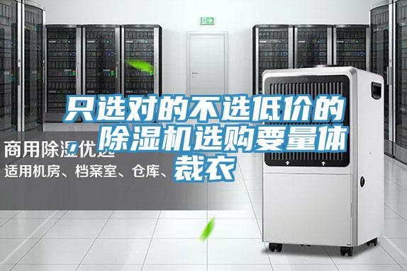 只選對的不選低價的，除濕機選購要量體裁衣