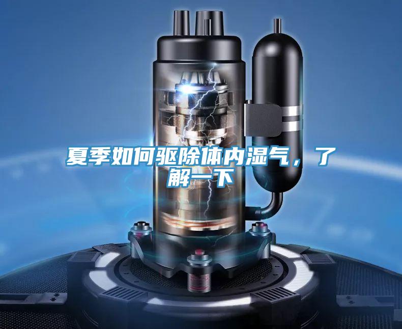 夏季如何驅(qū)除體內(nèi)濕氣，了解一下