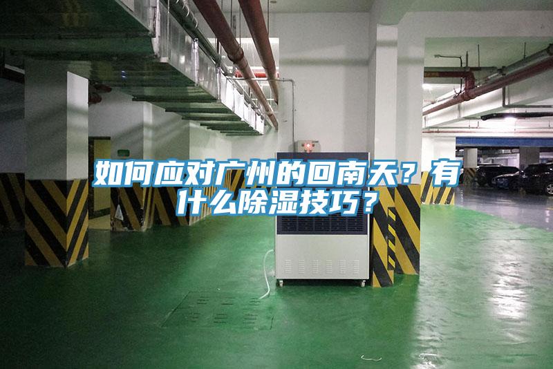 如何應(yīng)對廣州的回南天？有什么除濕技巧？