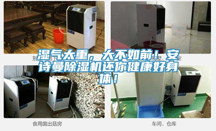 濕氣太重，大不如前！安詩曼除濕機還你健康好身體！