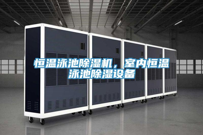 恒溫泳池除濕機(jī)，室內(nèi)恒溫泳池除濕設(shè)備