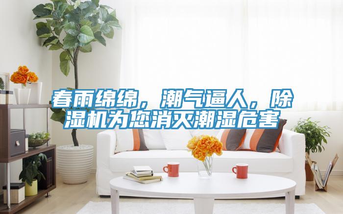 春雨綿綿，潮氣逼人，除濕機(jī)為您消滅潮濕危害