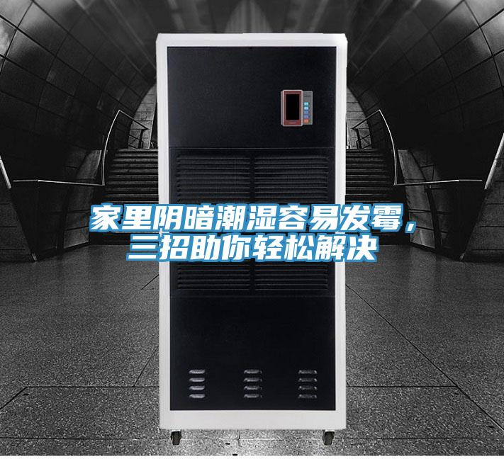 家里陰暗潮濕容易發(fā)霉，三招助你輕松解決