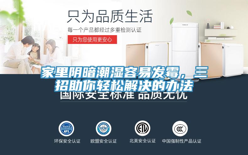 家里陰暗潮濕容易發(fā)霉，三招助你輕松解決的辦法