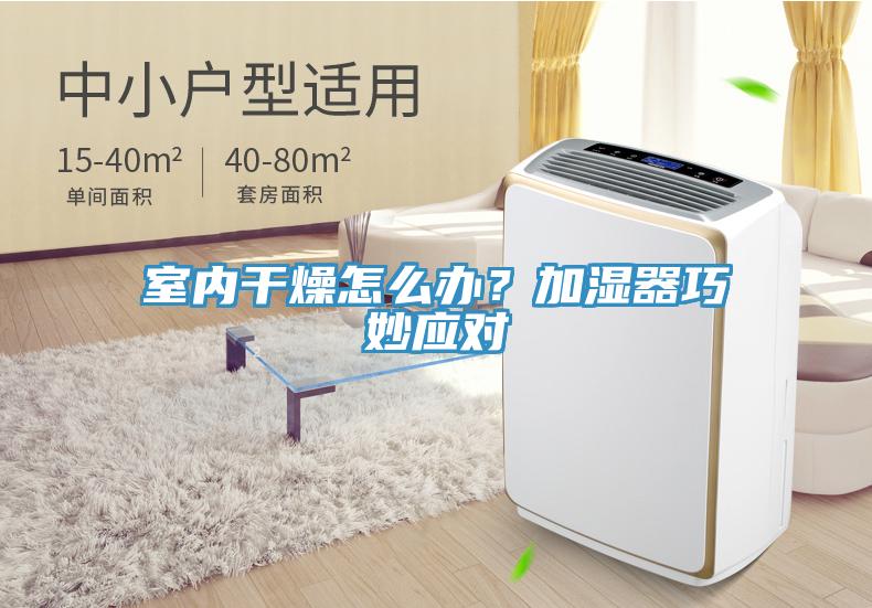 室內(nèi)干燥怎么辦？加濕器巧妙應對