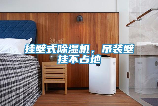 掛壁式除濕機(jī)，吊裝壁掛不占地