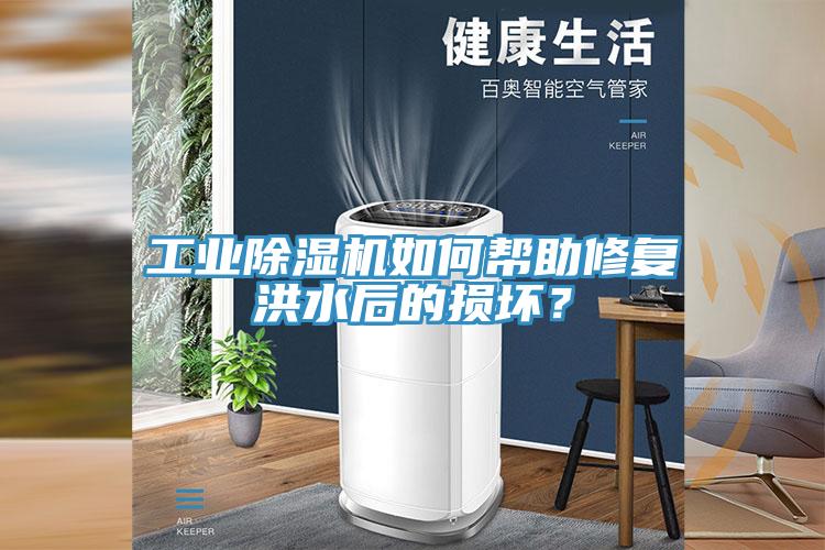 工業(yè)除濕機(jī)如何幫助修復(fù)洪水后的損壞？