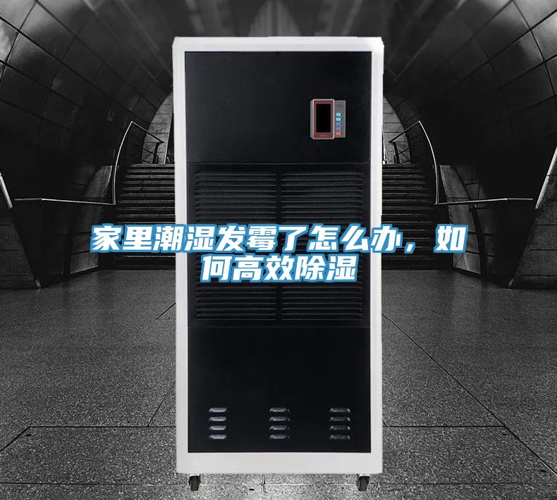 家里潮濕發(fā)霉了怎么辦，如何高效除濕