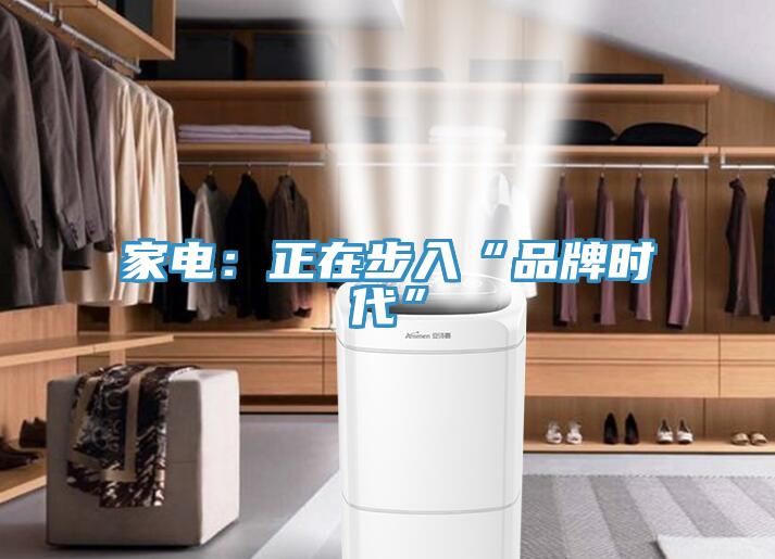 家電:正在步入“品牌時代”