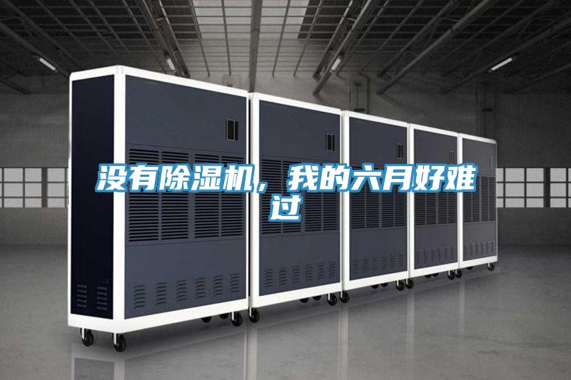 沒有除濕機(jī)，我的六月好難過