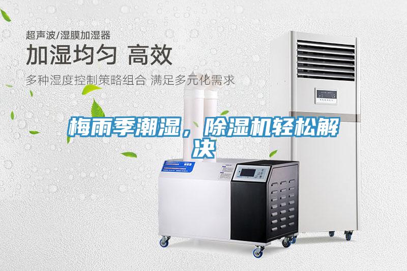 梅雨季潮濕，除濕機輕松解決