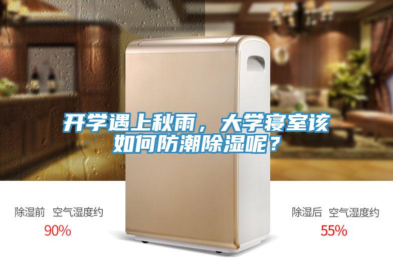 開學遇上秋雨，大學寢室該如何防潮除濕呢？