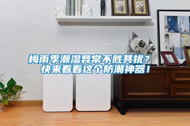 梅雨季潮濕異常不勝其擾？ 快來看看這個(gè)防潮神器！