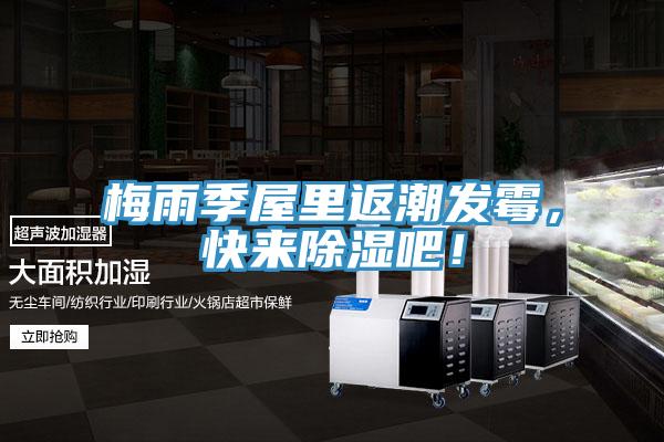 梅雨季屋里返潮發(fā)霉，快來除濕吧！