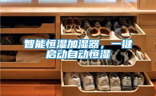 智能恒濕加濕器，一鍵啟動(dòng)自動(dòng)恒濕