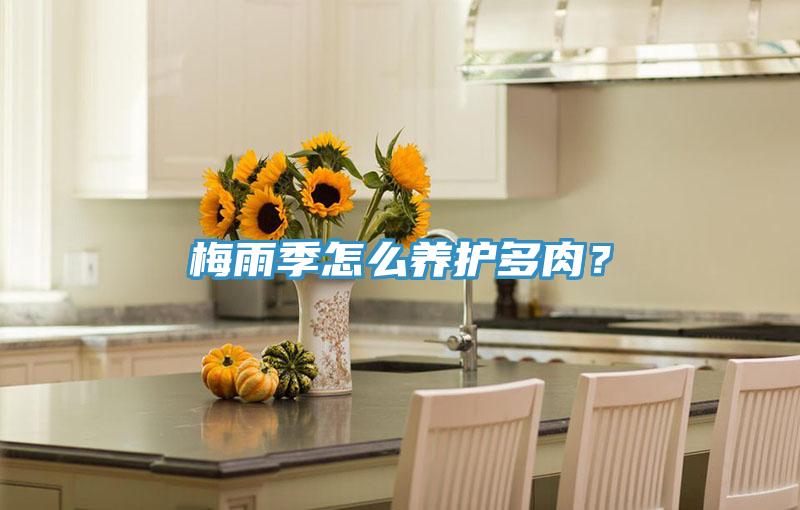 梅雨季怎么養(yǎng)護(hù)多肉？