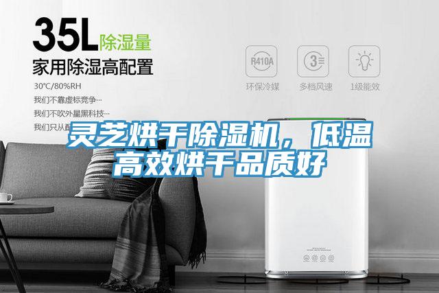 靈芝烘干除濕機，低溫高效烘干品質好